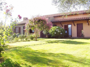 Montecasciano Mimosa Capranica